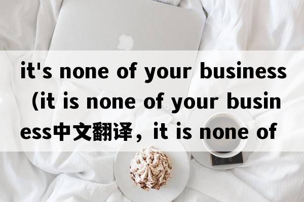 it's none of your business（it is none of your business中文翻譯，it is none of your business是什么意思，it