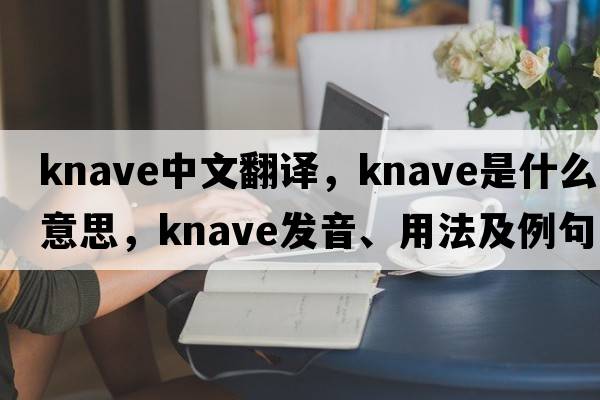 knave中文翻譯，knave是什么意思，knave發(fā)音、用法及例句