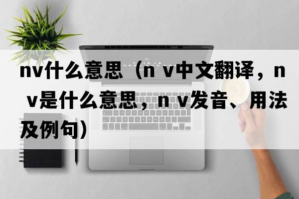 nv什么意思（n v中文翻譯，n v是什么意思，n v發(fā)音、用法及例句）