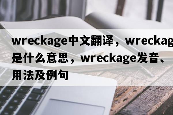 wreckage中文翻譯，wreckage是什么意思，wreckage發(fā)音、用法及例句
