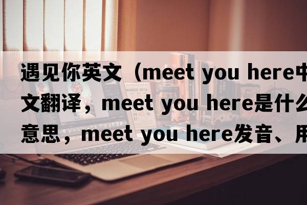 遇見(jiàn)你英文（meet you here中文翻譯，meet you here是什么意思，meet you here發(fā)音、用法及例句）