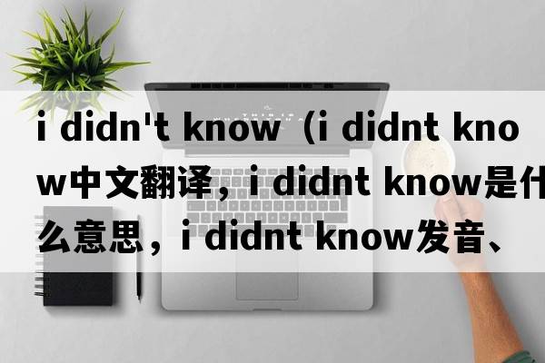 i didn't know（i didnt know中文翻譯，i didnt know是什么意思，i didnt know發(fā)音、用法及例句）