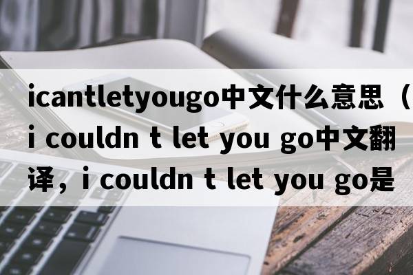 icantletyougo中文什么意思（i couldn t let you go中文翻譯，i couldn t let you go是什么意思，i couldn t let you go發(fā)音、用法及