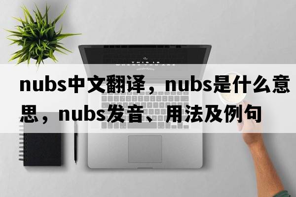 nubs中文翻譯，nubs是什么意思，nubs發(fā)音、用法及例句