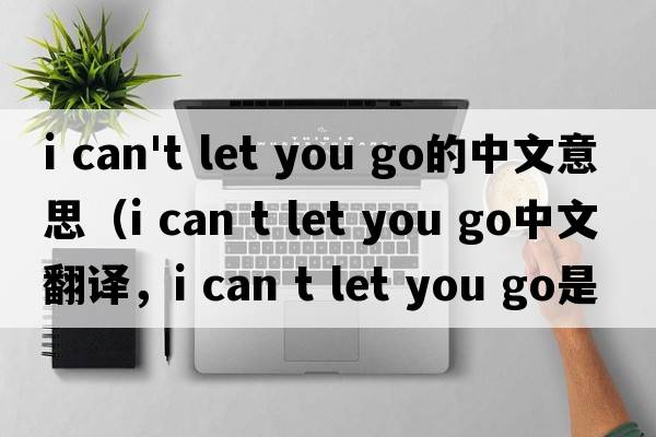 i can't let you go的中文意思（i can t let you go中文翻譯，i can t let you go是什么意思，i can t let you go發(fā)音、用法及