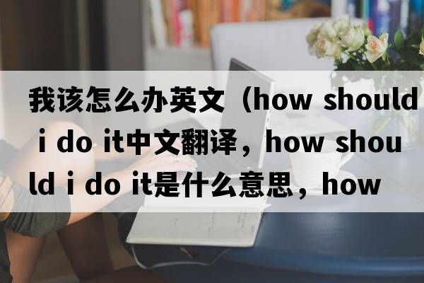 我該怎么辦英文（how should i do it中文翻譯，how should i do it是什么意思，how should i do it發(fā)音、用法及例句）