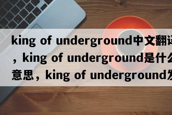king of underground中文翻譯，king of underground是什么意思，king of underground發(fā)音、用法及例句