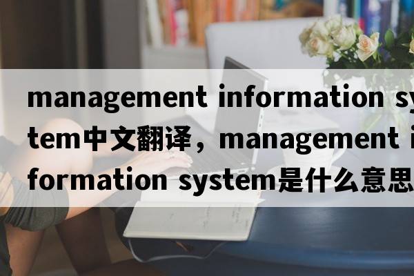 management information system中文翻譯，management information system是什么意思，management information system發(fā)音