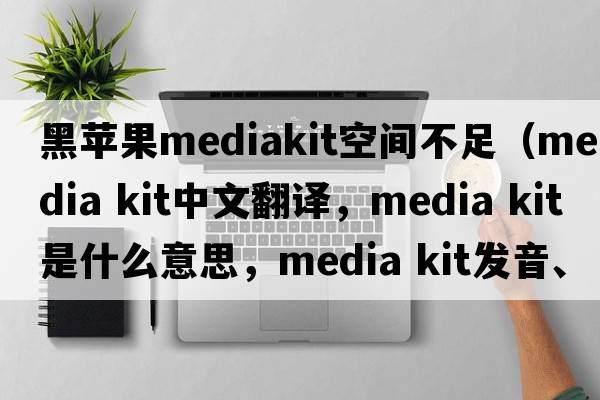 黑蘋(píng)果mediakit空間不足（media kit中文翻譯，media kit是什么意思，media kit發(fā)音、用法及例句）