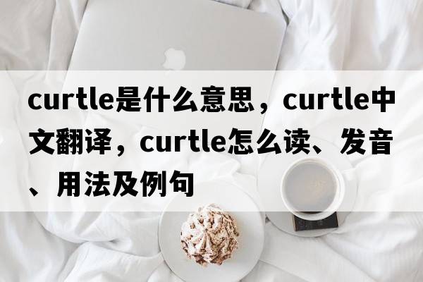 curtle是什么意思，curtle中文翻譯，curtle怎么讀、發(fā)音、用法及例句