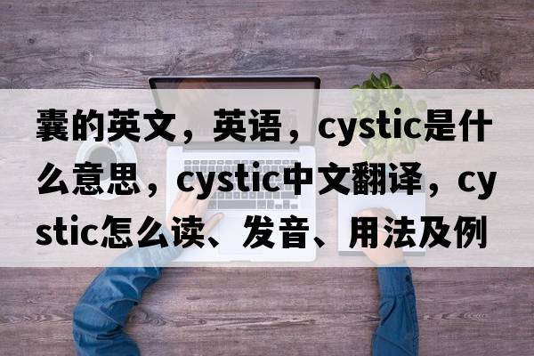 囊的英文，英語(yǔ)，cystic是什么意思，cystic中文翻譯，cystic怎么讀、發(fā)音、用法及例句