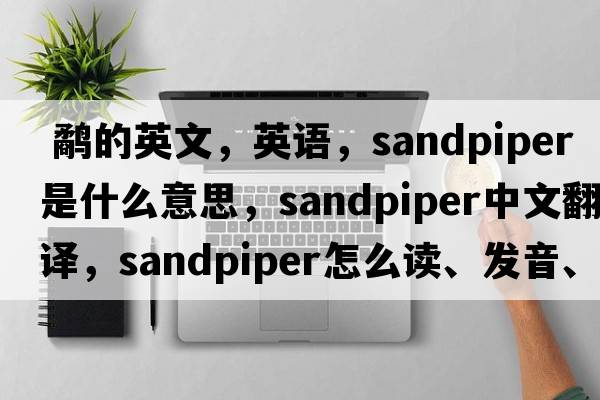  鷸的英文，英語(yǔ)，sandpiper是什么意思，sandpiper中文翻譯，sandpiper怎么讀、發(fā)音、用法及例句