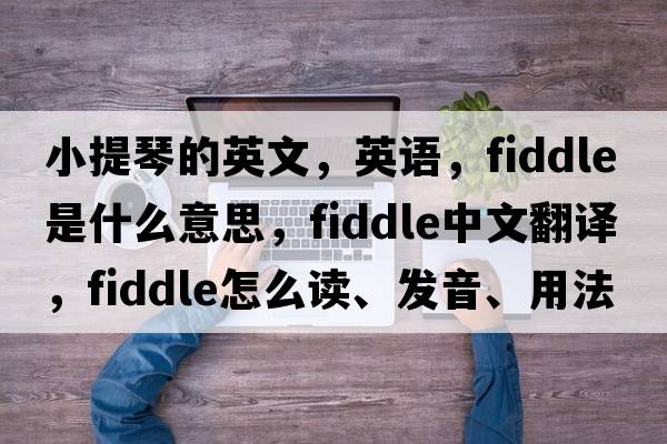 小提琴的英文，英語(yǔ)，fiddle是什么意思，fiddle中文翻譯，fiddle怎么讀、發(fā)音、用法及例句