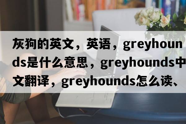 灰狗的英文，英語(yǔ)，greyhounds是什么意思，greyhounds中文翻譯，greyhounds怎么讀、發(fā)音、用法及例句