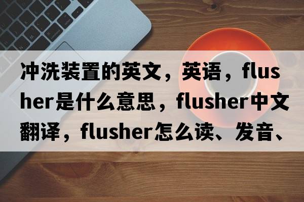 沖洗裝置的英文，英語(yǔ)，flusher是什么意思，flusher中文翻譯，flusher怎么讀、發(fā)音、用法及例句