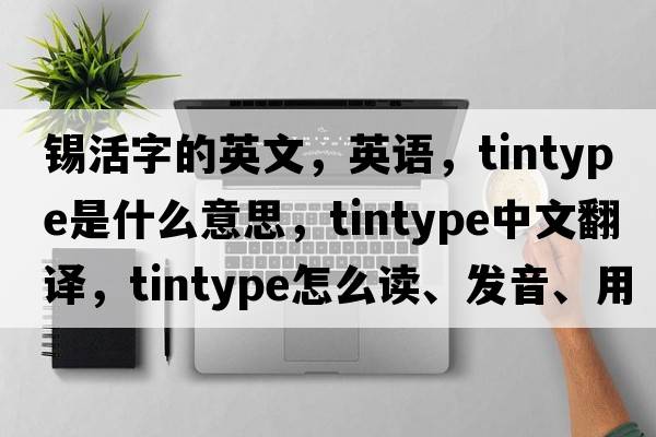 錫活字的英文，英語(yǔ)，tintype是什么意思，tintype中文翻譯，tintype怎么讀、發(fā)音、用法及例句
