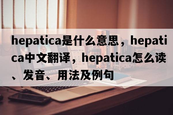 hepatica是什么意思，hepatica中文翻譯，hepatica怎么讀、發(fā)音、用法及例句