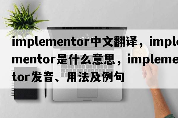 implementor中文翻譯，implementor是什么意思，implementor發(fā)音、用法及例句