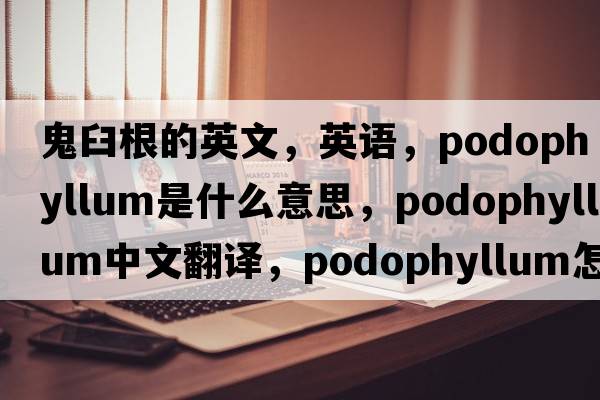 鬼臼根的英文，英語(yǔ)，podophyllum是什么意思，podophyllum中文翻譯，podophyllum怎么讀、發(fā)音、用法及例句