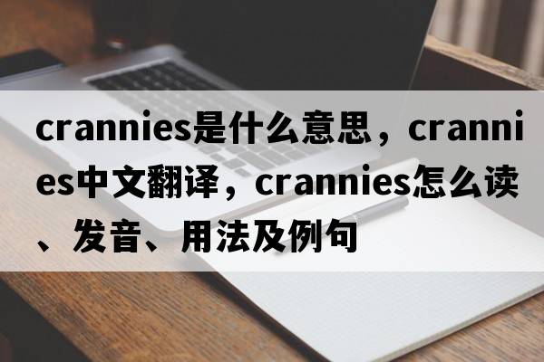 crannies是什么意思，crannies中文翻譯，crannies怎么讀、發(fā)音、用法及例句