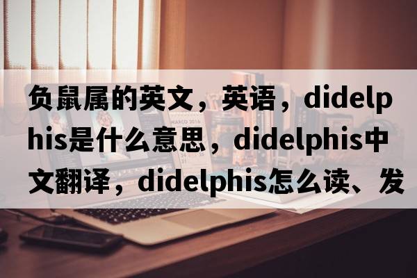 負鼠屬的英文，英語(yǔ)，Didelphis是什么意思，Didelphis中文翻譯，Didelphis怎么讀、發(fā)音、用法及例句
