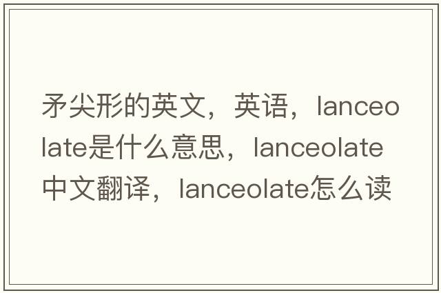 矛尖形的英文，英語(yǔ)，lanceolate是什么意思，lanceolate中文翻譯，lanceolate怎么讀、發(fā)音、用法及例句