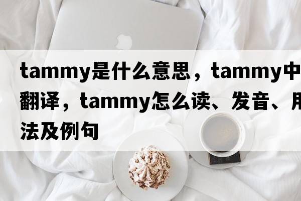 tammy是什么意思，tammy中文翻譯，tammy怎么讀、發(fā)音、用法及例句
