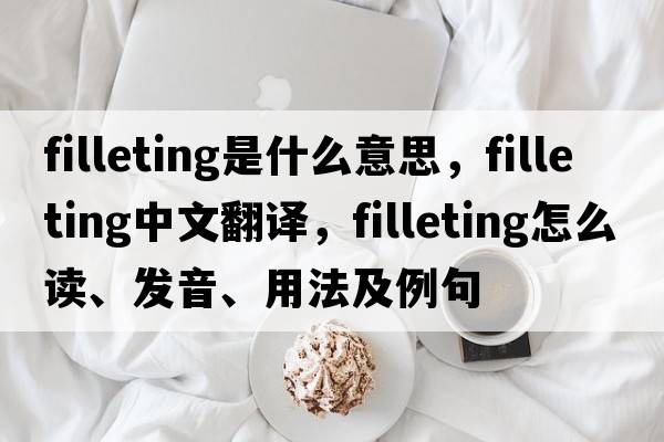 filleting是什么意思，filleting中文翻譯，filleting怎么讀、發(fā)音、用法及例句