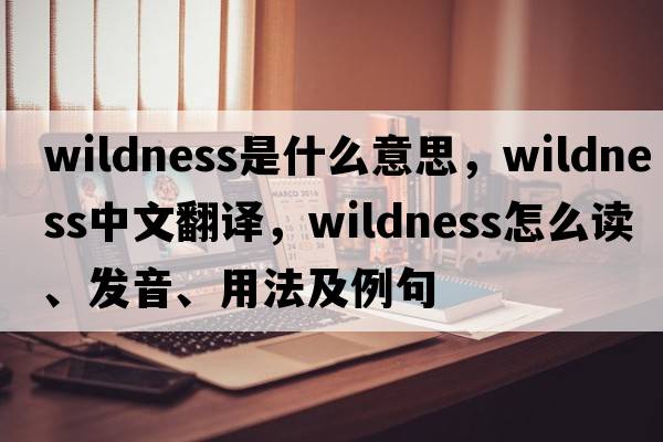 wildness是什么意思，wildness中文翻譯，wildness怎么讀、發(fā)音、用法及例句