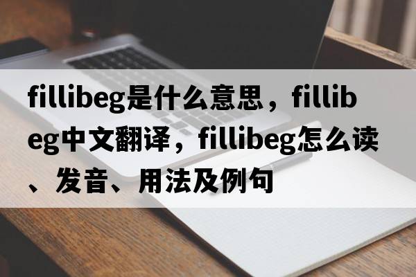 fillibeg是什么意思，fillibeg中文翻譯，fillibeg怎么讀、發(fā)音、用法及例句