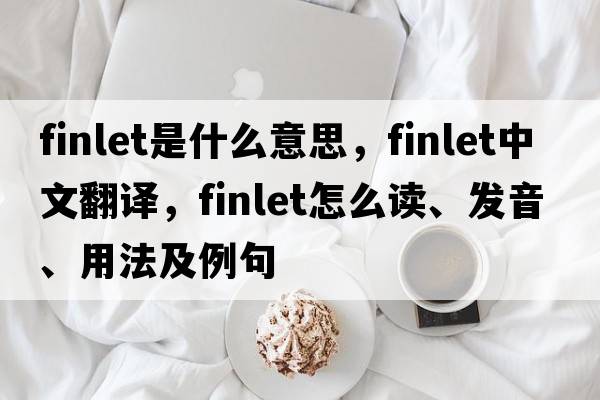 finlet是什么意思，finlet中文翻譯，finlet怎么讀、發(fā)音、用法及例句