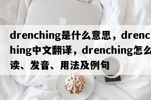 drenching是什么意思，drenching中文翻譯，drenching怎么讀、發(fā)音、用法及例句