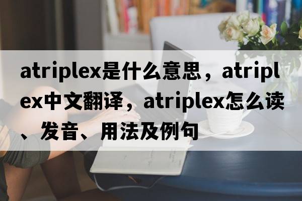 Atriplex是什么意思，Atriplex中文翻譯，Atriplex怎么讀、發(fā)音、用法及例句