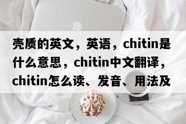 殼質(zhì)的英文，英語(yǔ)，chitin是什么意思，chitin中文翻譯，chitin怎么讀、發(fā)音、用法及例句