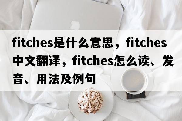Fitches是什么意思，Fitches中文翻譯，Fitches怎么讀、發(fā)音、用法及例句
