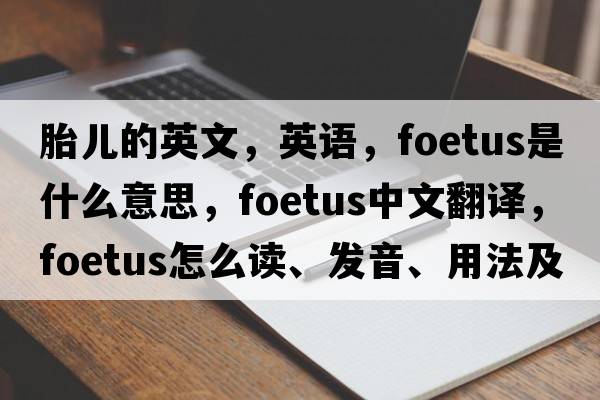 胎兒的英文，英語(yǔ)，foetus是什么意思，foetus中文翻譯，foetus怎么讀、發(fā)音、用法及例句