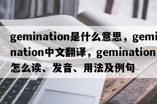 gemination是什么意思，gemination中文翻譯，gemination怎么讀、發(fā)音、用法及例句