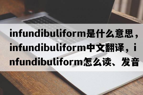 infundibuliform是什么意思，infundibuliform中文翻譯，infundibuliform怎么讀、發(fā)音、用法及例句