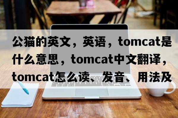 公貓的英文，英語(yǔ)，tomcat是什么意思，tomcat中文翻譯，tomcat怎么讀、發(fā)音、用法及例句