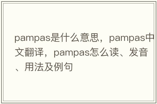 pampas是什么意思，pampas中文翻譯，pampas怎么讀、發(fā)音、用法及例句