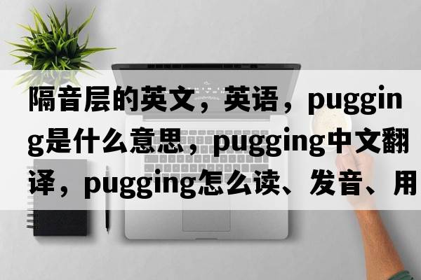 隔音層的英文，英語(yǔ)，pugging是什么意思，pugging中文翻譯，pugging怎么讀、發(fā)音、用法及例句