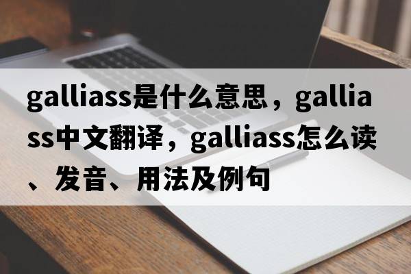 galliass是什么意思，galliass中文翻譯，galliass怎么讀、發(fā)音、用法及例句