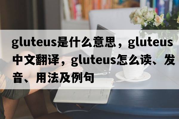 gluteus是什么意思，gluteus中文翻譯，gluteus怎么讀、發(fā)音、用法及例句