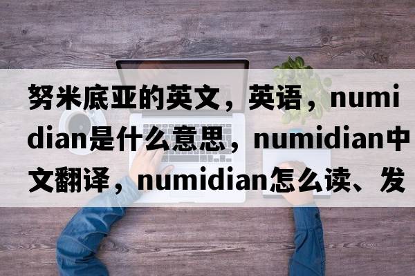 努米底亞的英文，英語(yǔ)，Numidian是什么意思，Numidian中文翻譯，Numidian怎么讀、發(fā)音、用法及例句