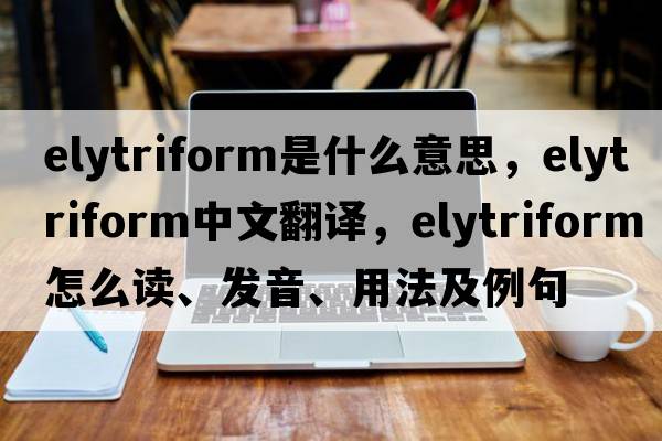 elytriform是什么意思，elytriform中文翻譯，elytriform怎么讀、發(fā)音、用法及例句