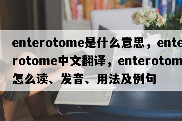 enterotome是什么意思，enterotome中文翻譯，enterotome怎么讀、發(fā)音、用法及例句