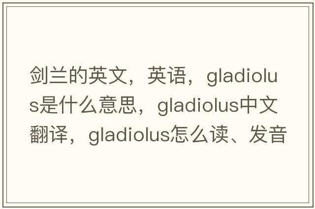 劍蘭的英文，英語(yǔ)，gladiolus是什么意思，gladiolus中文翻譯，gladiolus怎么讀、發(fā)音、用法及例句