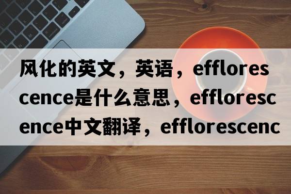 風(fēng)化的英文，英語(yǔ)，efflorescence是什么意思，efflorescence中文翻譯，efflorescence怎么讀、發(fā)音、用法及例句