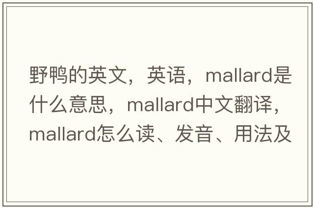 野鴨的英文，英語(yǔ)，mallard是什么意思，mallard中文翻譯，mallard怎么讀、發(fā)音、用法及例句