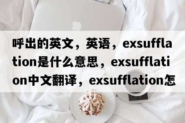 呼出的英文，英語(yǔ)，exsufflation是什么意思，exsufflation中文翻譯，exsufflation怎么讀、發(fā)音、用法及例句